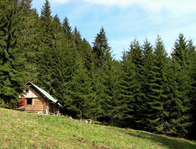 019-Javorová v lete.jpg