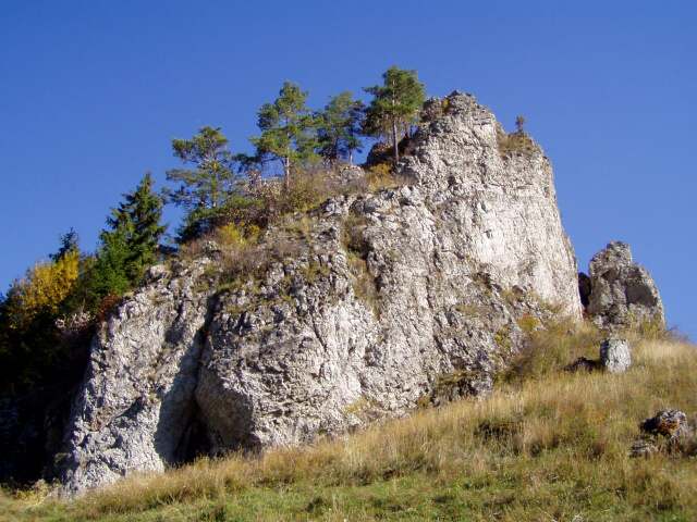 002-Detail Rohačky.jpg