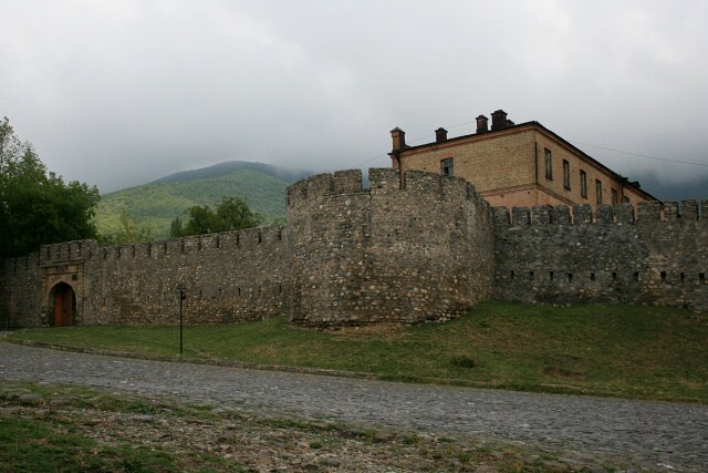 IMG_ 0176.JPG